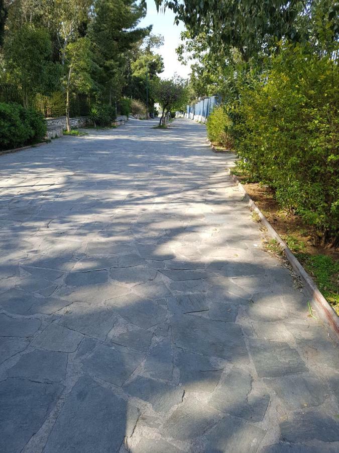 Filopappou Hill Apartment Atina Dış mekan fotoğraf